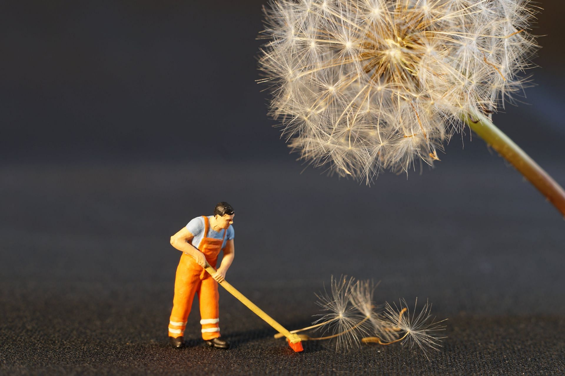 There can be various forms of repetition, but cleaning is the primary one. (Image via Pexels/ Pixabay)